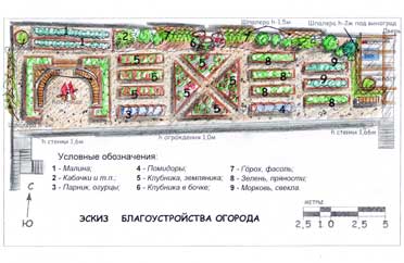 План обустройства огорода в п.Удачный, г. Красноярск