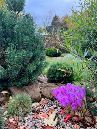 ����������